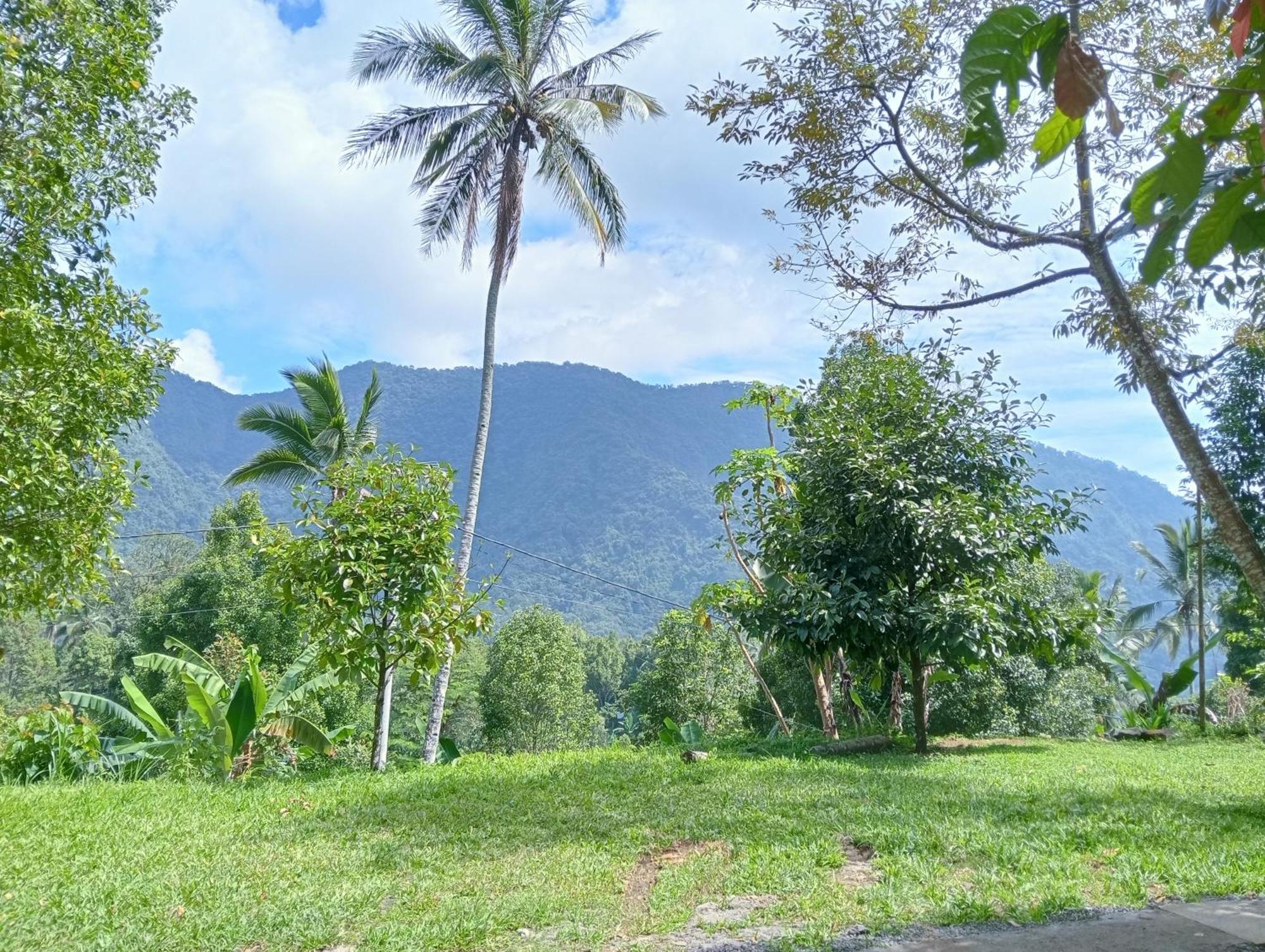 Jepun Homestay Lemukih Singaraja Exterior foto