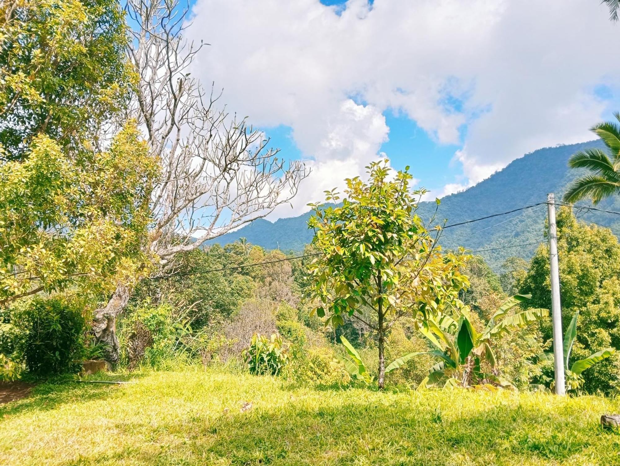Jepun Homestay Lemukih Singaraja Exterior foto