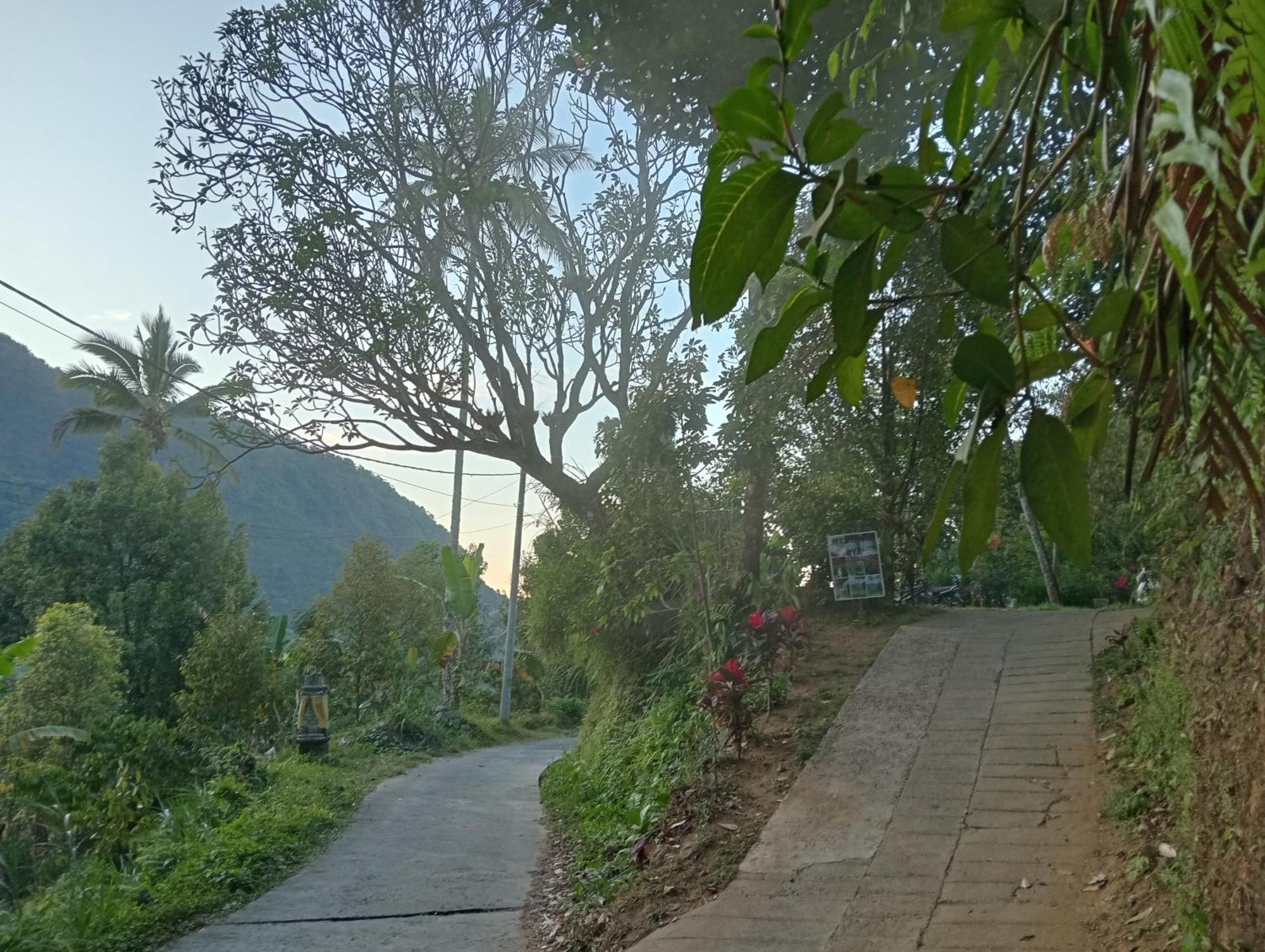 Jepun Homestay Lemukih Singaraja Exterior foto